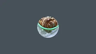 ЛЮБИМАЯ РАБОТА в прямом эфире