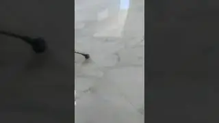 Установка дверей. Вопрос об выносе мусора. Я не выношу мусор после установки лверей