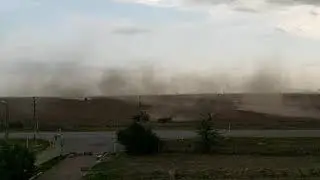 Подготовка к посеву...