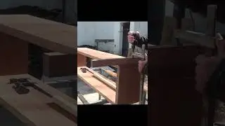 Hornet in TV Stand #shorts
