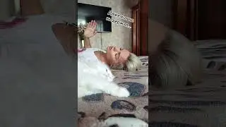 Даже кот не выдержал