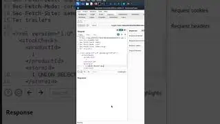 SQL Injection with Filter Bypass 
