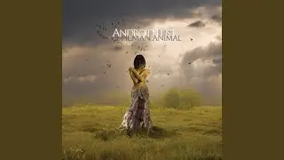 God in the Hole (Remix Version)