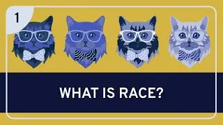 PHILOSOPHY - Race: Racial Ontology #1 (Introduction)