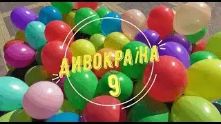 Передача для дітей і про дітей "Дивокраїна", випуск 9
