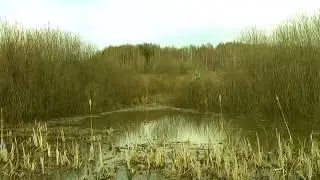 шлепоход 2
