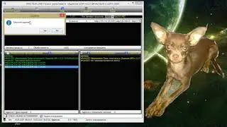 Поиск  мультикаста  (Адресов UDP) v 2.2.7.84