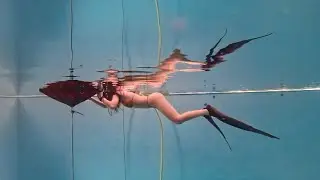 139s Slow Warm -up Dive to -20M