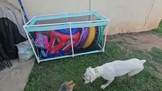 235 Gallon XXXL Extra Large Swimming Pool Storage Bin, Pool Noodles Holder, Toys, Floats, Balls