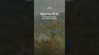 Притчи 