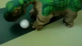 The Cute Pleo Plays Football!
