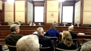 4/5/17 Senate General Laws