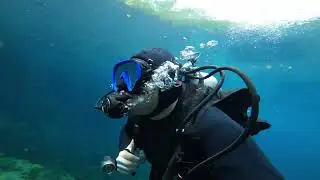 Scuba Diving With Alligators In Cancun Mexico!!