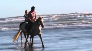 freedom natural horse beach ride!