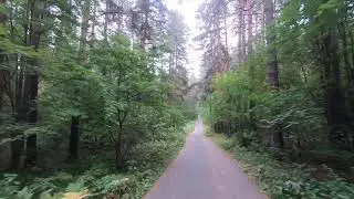 Лыжероллерная трасса. Уктус. Екатеринбург