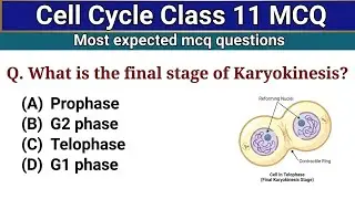 Cell Cycle & Cell Division MCQ | Biology MCQ 2024 | NEET 2024 MCQ | Class 11 Biology MCQ