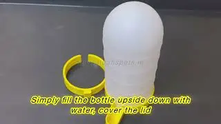 550ml Bird water Drinker