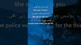 English sentences||English fluently||