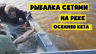 Рыбалка сетями на Амуре. Лов кеты. Красная рыба и икра!