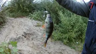 Осенняя рыбалка со спиннингом. Какие приманки ловят!!!