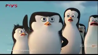 madagaskar pingvinglari 1 qism multfilm uzbek tilida