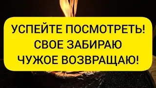 🔥 УСПЕЙТЕ ПОСМОТРЕТЬ!! Все мое будет со мной! чужое отдаю обратно 😇