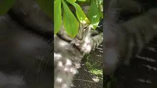 #жизнь #буднивдеревне