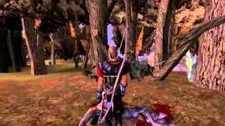 Gothic playthrough #39: Looking for Experience