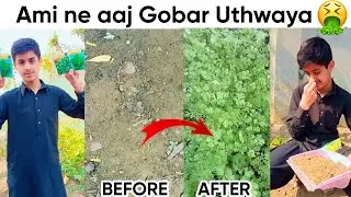 Ami ne aaj Gobar Uthwaya || Grow Vegetables at home with - 100% success 😱 Shocking Results!!!!!