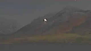 Mac OS High Sierra