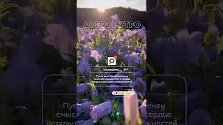 Море цветов