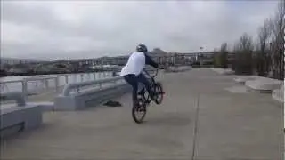 Logan Brescia 2013 BMX Edit