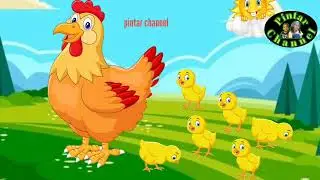 Tek kotek kotek || lagu ayam berkotek