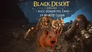 19-Min Succ Zerker Run at Golden Pig Cave!