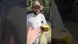 Не дал мне снять как рубят кокос большой мачете