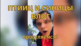 птииц и синицы влог | прогуляемся? | пёс сыкля | курицы это динозавры |