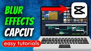 How To Use Blur Effects In Capcut PC