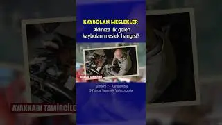 KAYBOLAN MESLEKLER