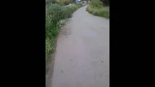 Прогулка 5