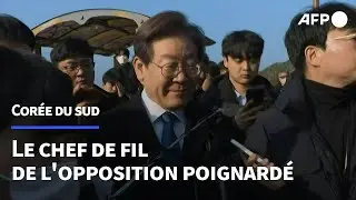 Corée du Sud: le chef de file de l'opposition poignardé | AFP
