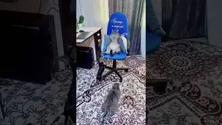 Релакс.