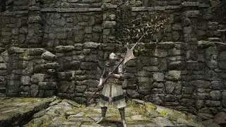AoE2 Cosplay in Elden Ring - Spearman-line Units