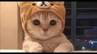 🔥CТРИМ 10 СЕРВЕР🔥 Разговариваем с токсиками ЕБУ*ИМИ