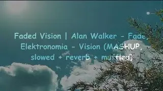 Faded Vision | Alan Walker - Fade, Elektronomia - Vision (MASHUP, slowed + reverb+muffled) ❁ཻུ۪۪⸙͎๑⸙