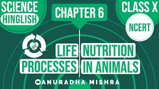 Nutrition In Animals | Life Process | Class 10 | Chapter 6 | Science