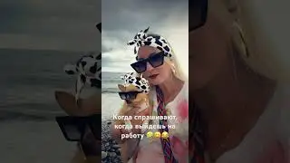 Чихуахуа #приколы #собака #dog #чихуахуа #приколысживотными #shortsvideo #shortvideo #sunny
