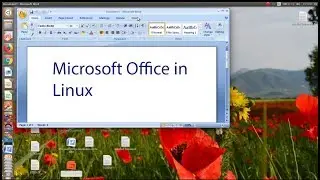 Install microsoft office on linux ubuntu