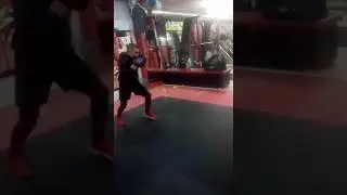 Önder mingan 