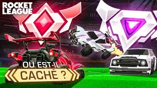 Un GRAND CHAMPION se cache parmi ces SSL, où est-il ?