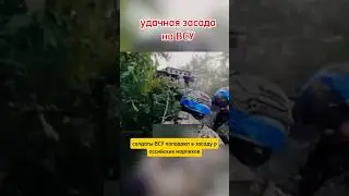 Курская область Суджа засада на всу Курщина